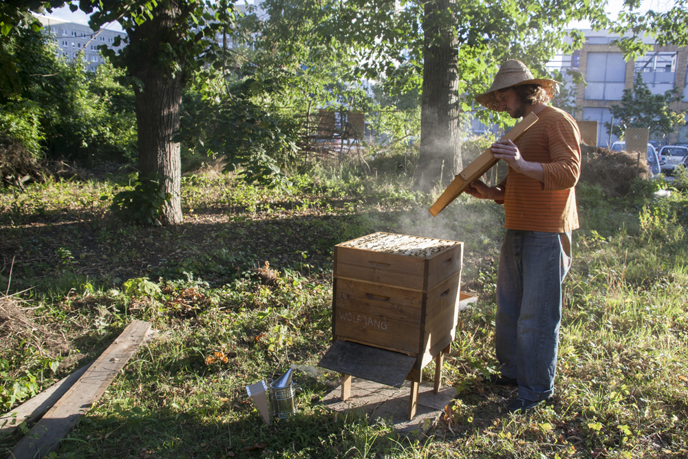 Bienen@VorOrt-Haus-Garten